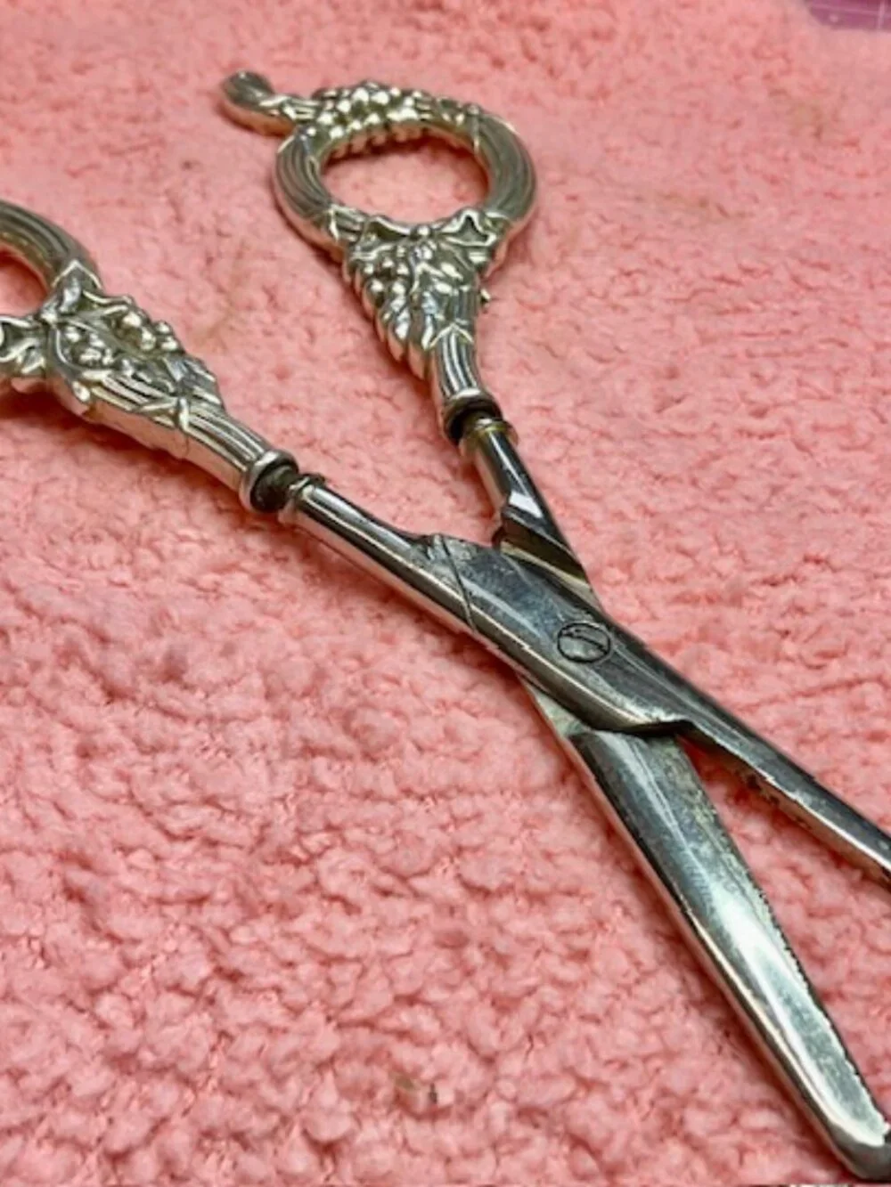 Victorian Grape Shears 7